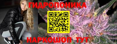 шишки Тулун