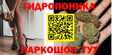 сатива Тверь