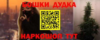 сатива Тверь